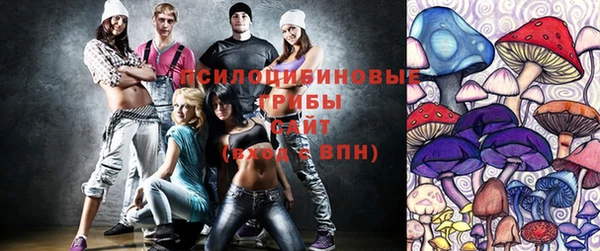 spice Гусь-Хрустальный