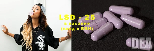 spice Гусь-Хрустальный