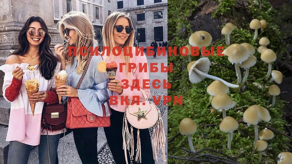 молекула духа Горнозаводск