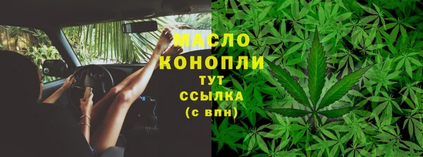 молекула духа Горнозаводск
