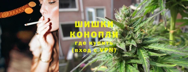 молекула духа Горнозаводск