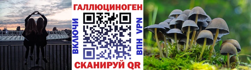 цена   кракен tor  Псилоцибиновые грибы мицелий  Меленки 